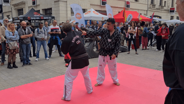 démonstrations hapkido pic'Assoc niort